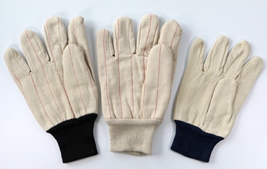 Canvas gloves